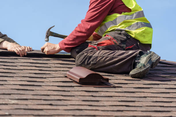 Best Metal Roofing Contractor  in Monroe, MI