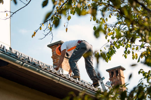Roof Gutter Cleaning in Monroe, MI