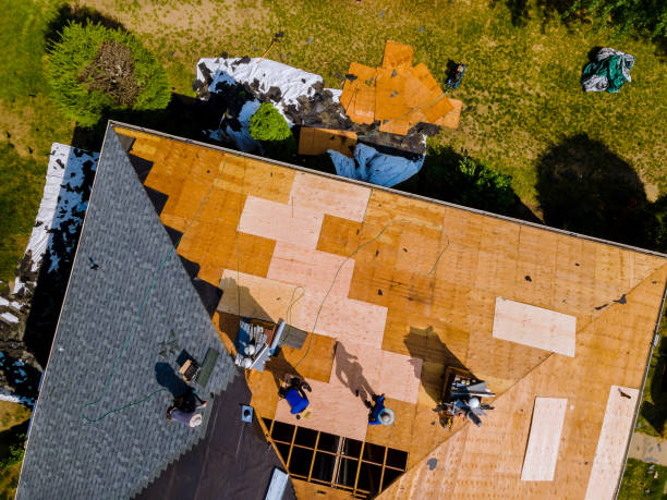 Professional Roofing Contractor in Monroe, MI
