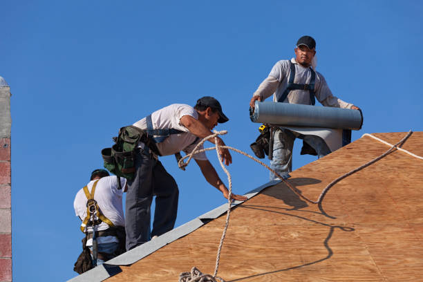 Best Gutter Installation and Roofing  in Monroe, MI