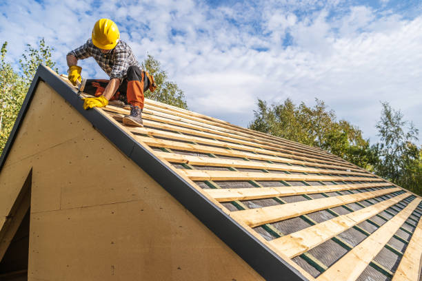 Best Roof Gutter Cleaning  in Monroe, MI