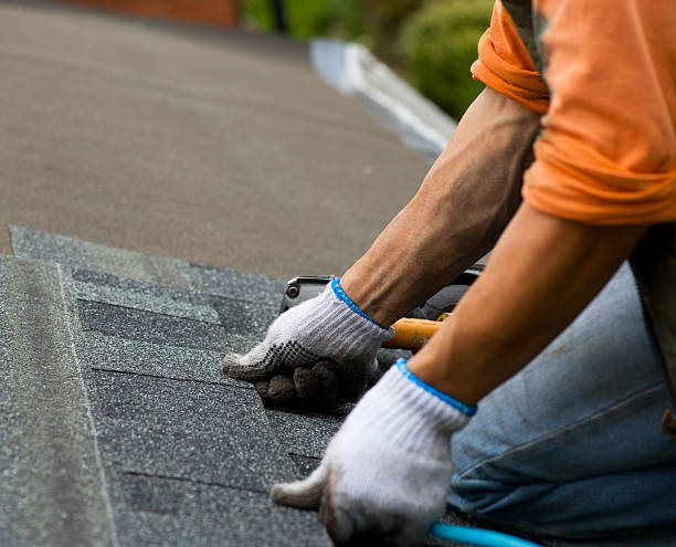 Best Affordable Roofing Company  in Monroe, MI