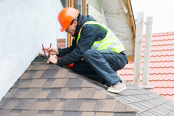 Best New Roof Installation  in Monroe, MI