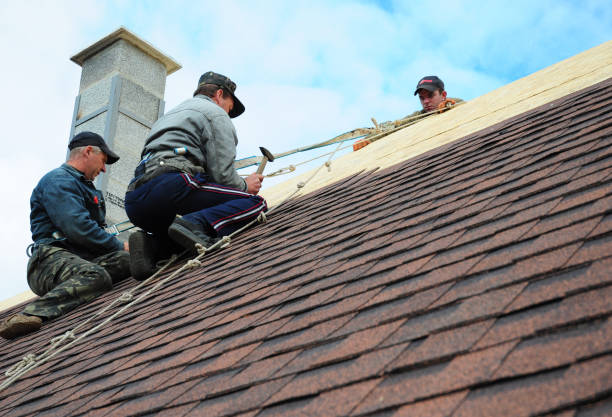 Best Roof Gutter Cleaning  in Monroe, MI