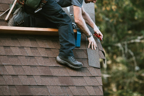 Best Emergency Roof Repair  in Monroe, MI