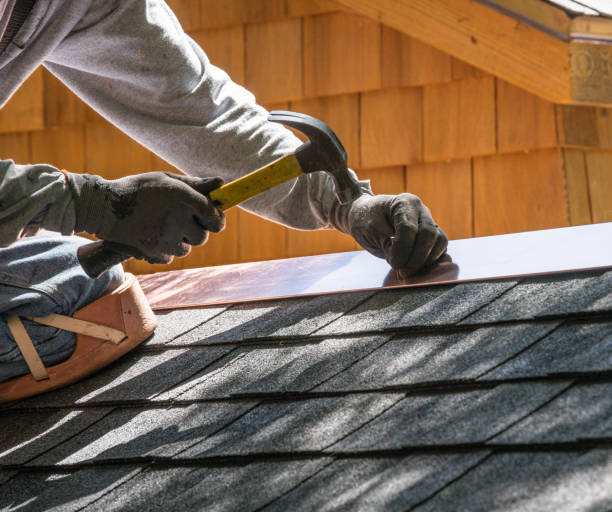 Best Flat Roof Repair Services  in Monroe, MI